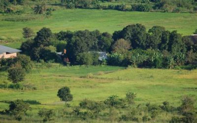 Rundbrief aus Mpanga, im Juni 2018